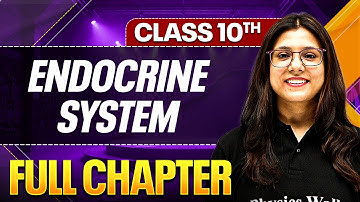 ENDOCRINE SYSTEM One Shot ( Theory + PYQs ) Class 10 ICSE Board