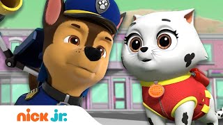 PAW Patrol vs. Mayor Humdinger's Barking Kitties! | Nick Jr.