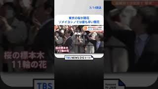 【速報】東京の桜が開花　最も早い記録に並ぶ　ソメイヨシノでは今年全国で最も早い開花｜TBS NEWS DIG #shorts