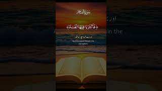 Surah Al-Fajr (الفجر) is the 89th chapter of the Qur’an. It has 30 verses and was revealed in Makkah