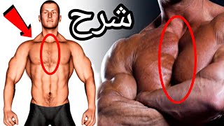 سر لبراز خط الوسطي لصدر كمال الأجسام - Inner Chest workout