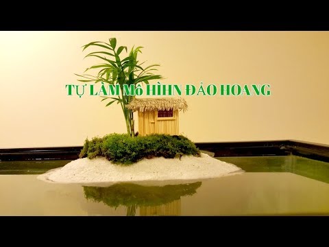 Video: Cách Làm đảo Rùa