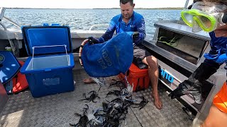 Blue Swimmer Crab Catch and Cook...