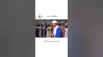 الياس حجري. روائع من سورة النمل. برواية ورش