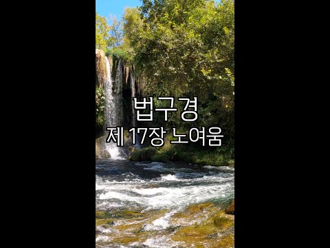 한국인이 좋아하는 속도로 읽어보는_법구경_17장 노여움_Dhammapada_法句經_불교경전_명상_meditation_remind