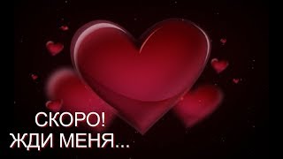 ВЛОГ. ЖДИ МЕНЯ! Скоро!/Ветклиника для Чарли,свекровь и ужин! ВЛОГ. ЖДИ МЕНЯ! Скоро!/Ветклиника для Чарли,свекровь и ужин!