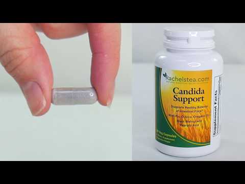 Candida Support |