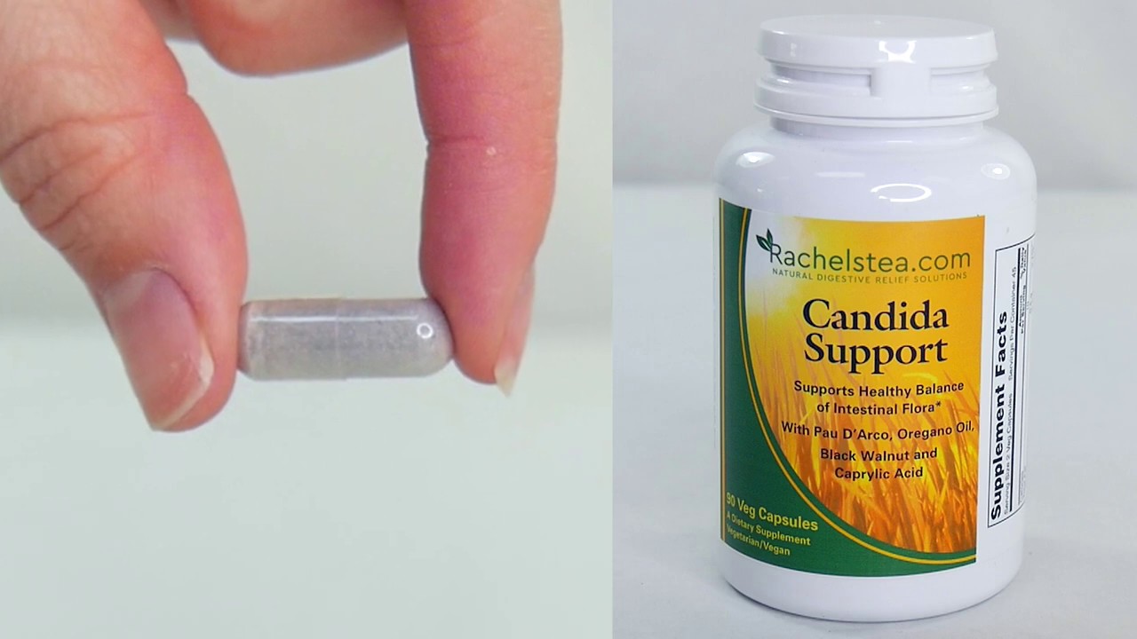 Candida Support | How it looks like | Pain-Free Foods