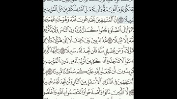 سورة النساء 141-147 (١٠١)     Sheikh Anas AlHibri