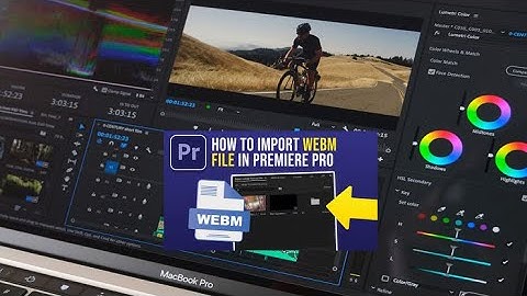 how to import WEBM file into Adobe Premier Pro | WebM Premiere