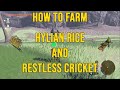 Easy hylian rice and restless cricket farm  the legend of zelda  tears of the kingdom totk