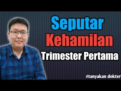 Video: Bagaimana trimester kehamilan dibahagikan?