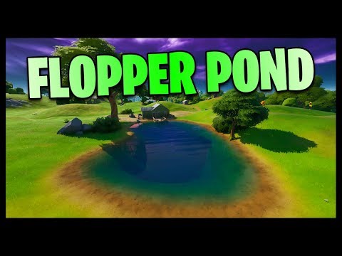 Βίντεο: Were is flopper pond;