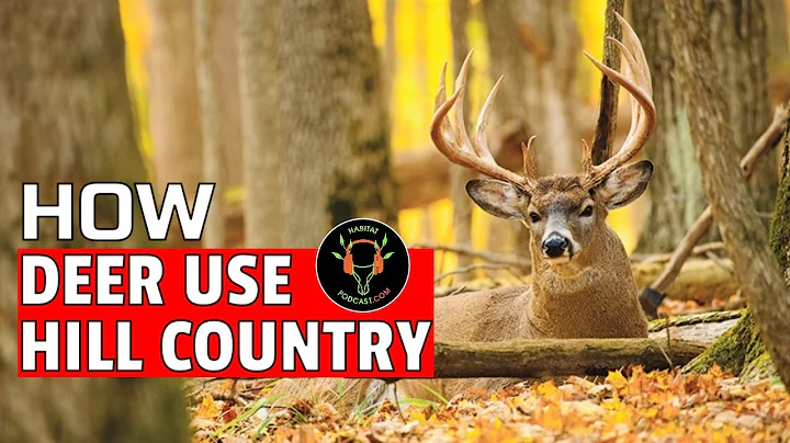 How Deer Use Hill Country Where To Ambush Mature Buck Travel Bedding Habitat Podcast DIY Scout