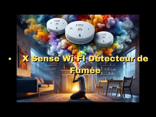 X Sense Wi FI Détecteur de Fumée et de Monoxyde de Carbone : Accessible iOS  Android 