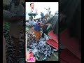 कोल्ड ड्रिंक भरा ट्रक पलटा तो मची लूट #shortvideos #viral #viralshorts #trendingshorts t#reel #truck