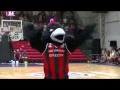 VCR - VAMOS SAN LORENZO VAMOS A GANAR ... LA BANDA TE VA ALENTAR , AGUANTE CASLABASQUET