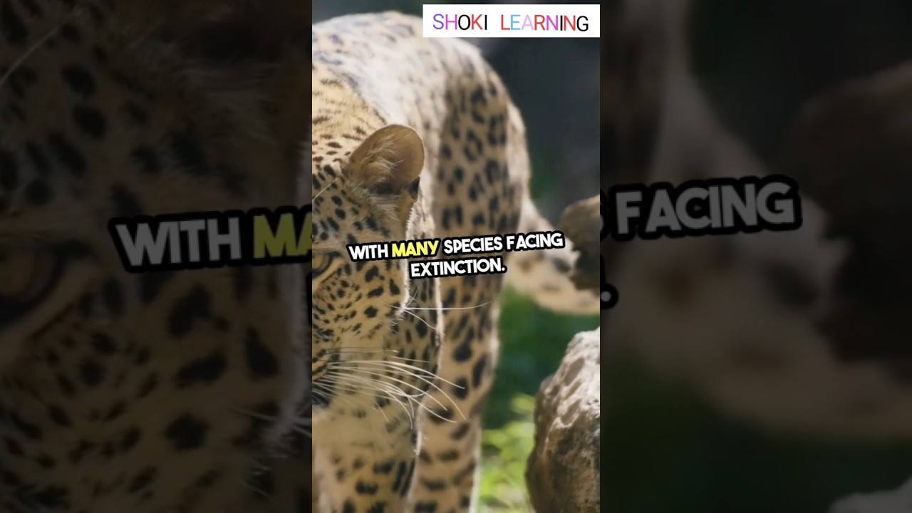 Shocking Climate Change Effects Revealed!