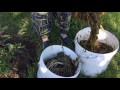 Как создать экспресс-компост на садовом участке