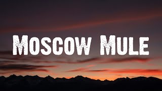Bad Bunny - Moscow Mule (Letra_Lyrics)