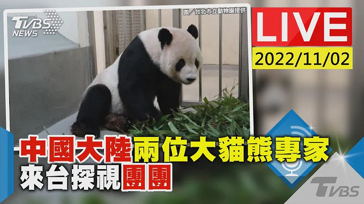 中國大陸兩位大貓熊專家 來台探視團團LIVE - 天天要聞