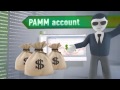 Financial Market Video Investopedia - YouTube