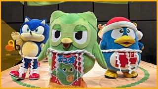 Duolingo: Duo's Sumo Showdown