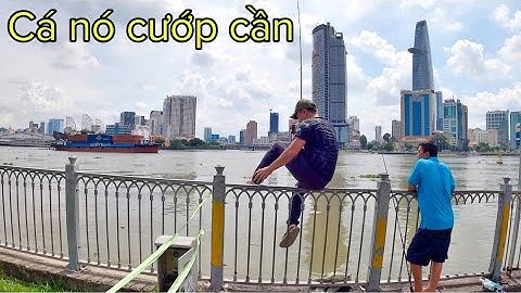 ✅ Cám DF thử sức câu cá thiên nhiên sông Sài Gòn, Thủ Thiêm | DUY FISHING