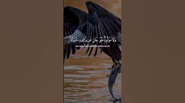 قرآن كريم ما تيسر من سورة لقمان راحة نفسية بصوت الشيخ ياسر الدوسري