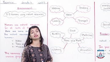 Class 4 - Science - Chapter 05 - Lecture 44 Environment 5.5 - Allied Schools