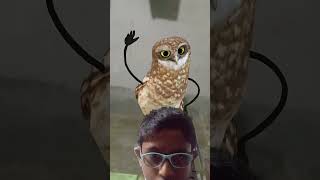 Hello friends welcome to my channel Big box tv .90  please like and subscribe #funny #comedy