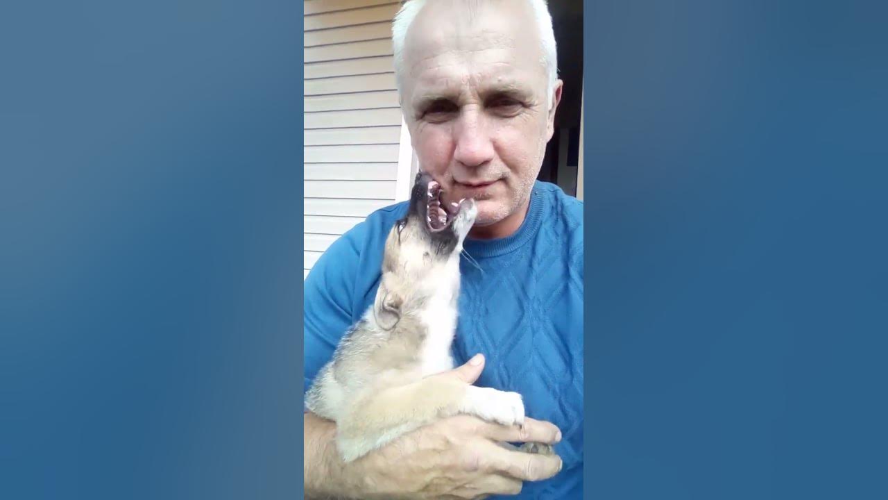 Сядем с отцом... #shorts - YouTube