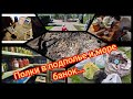 09.2023 Ура, сделали полки в подполье//Достали все банки//Опять соленья, что поделать...