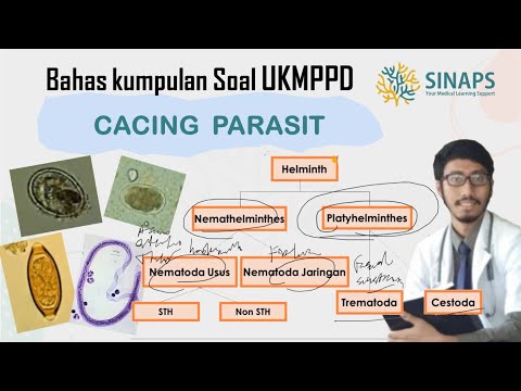 Video: Infeksi Cryptosporidiosis Pada Kadal - Infeksi Parasit Menular Pada Kadal