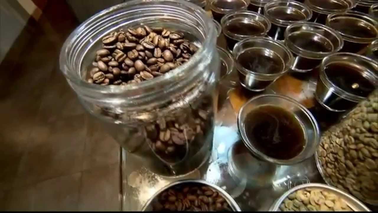 Globo Repórter fala sobre o café, a bebida mais amada do Brasil