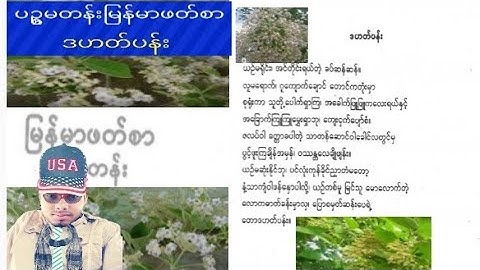 Burmese Class 5 မြန်မာဖတ်စာ Explain lesson ဒဟတ်ပန်း By Rohingya language