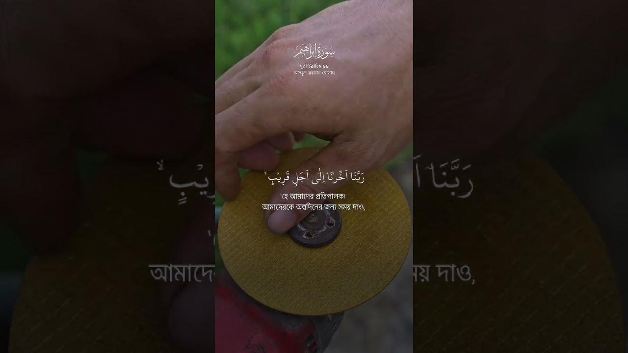 Лучшая идея, лучшие трюки