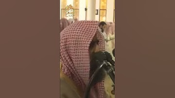 قرآن كريم ❤ ادخلوها بسلام ذلك يوم الخلود ❤ تلاوة خاشعة 🤍 بصوت  القارئ  الشيخ محمد اللحيدان