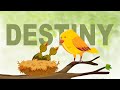 Animated short film DESTINY Teaser