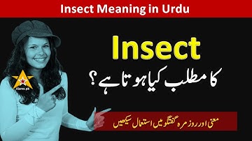 Insect Meaning in Urdu/Hindi | Insect ka Matlab Kya Hota Hai ? | Video Vocabulary