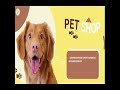 Pet shop  ad  motion graphics  after effects