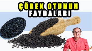 ÇÖREK OTUNUN FAYDALARI / Çörek Otunun Zararları / Çörek Otu Nasıl Kullanılır