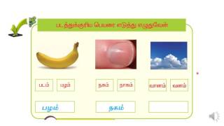 Samacheer Kalvi Term 1 Tamil 1st Standard Lesson 4 Activity 5 T1 T1 L4 A5 Youtube