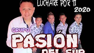 Video thumbnail of "PASIÓN DEL SUR - luchare por ti AUDIO OFICIAL✓(2020)"