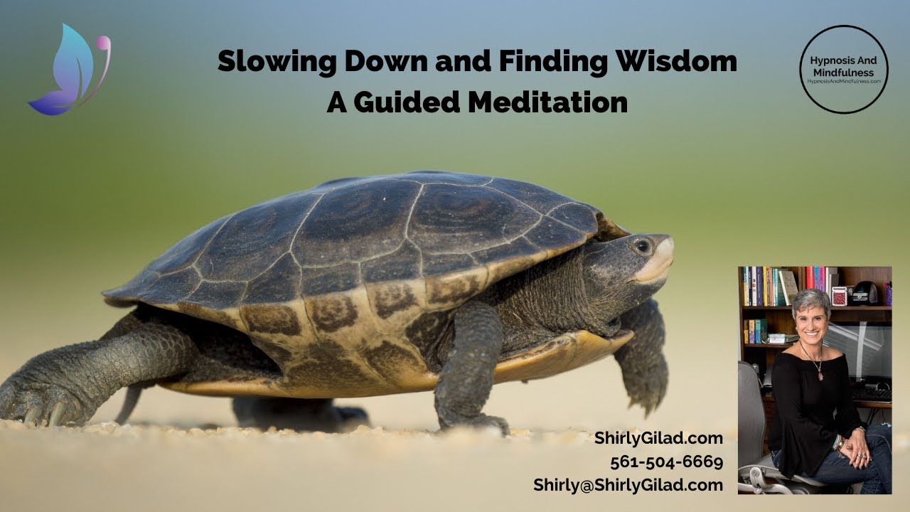 Slowing Down And Finding Wisdom  - Guided Mindfulness Meditation | Integrative Hypnotherapy