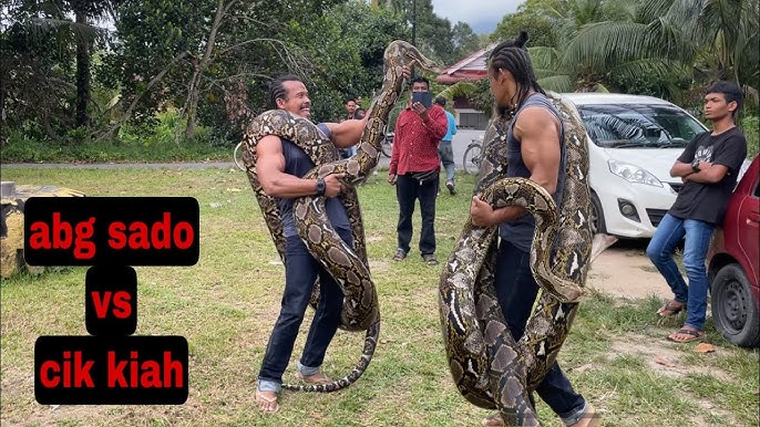 pussies dick BDSM tumshugi