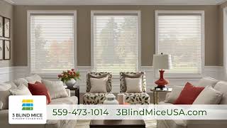 Fresno&#39;s Premiere Window Covering Company!  Elevate Your Home w/3 Blind Mice&#39;s Window Treatments!