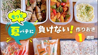 【1週間作り置き】12品3068円で超節約になるおかず