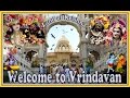 Welcome to sri vrindavan  the land of lord krishna