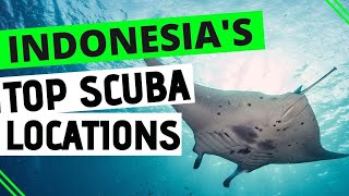 The Best Dive Sites in Indonesia! | Scuba Diving